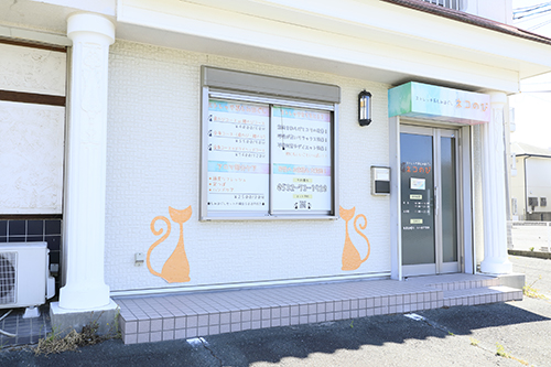 「ネコのびBLOG」開設しました！